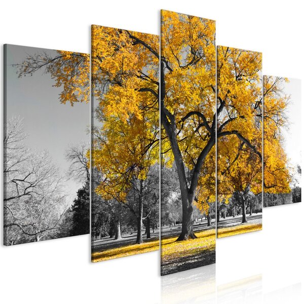 Obraz - Podzim v parku - zlatý III 100x50