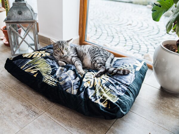 Měkký polštář pro psa/kočku ROYAL PET 75x60 cm, vzorovaný