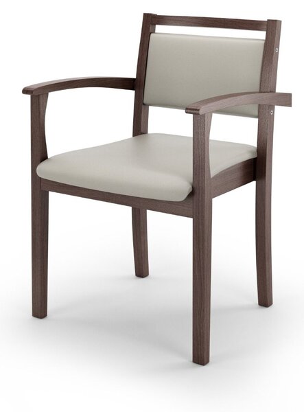 Drewmark Židle s područkami F2
