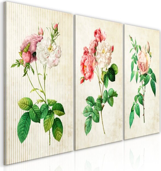 Obraz - Květinové trio (kolekce) 60x30