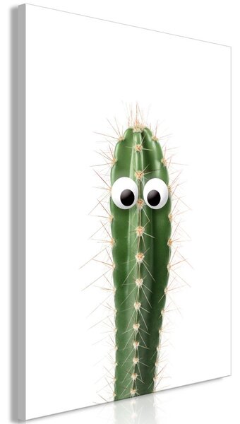 Obraz - Živý kaktus 60x90