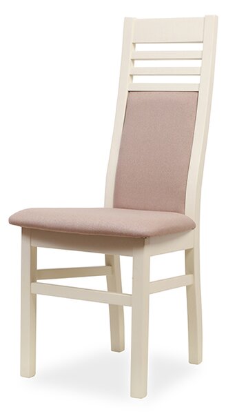 IBA Moderní židle W 991 Varianta: Hnědá