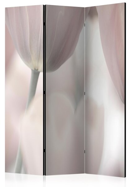 Paraván - Umělecké tulipány - černobílé 135x172