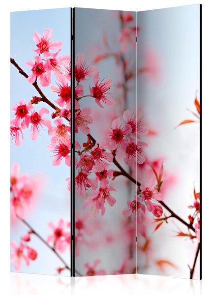 Paraván - Symbol Japonska - květy sakury 135x172