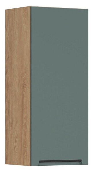 BRW Kuchyně Family Line Iris G-40/95-P, boho green matt