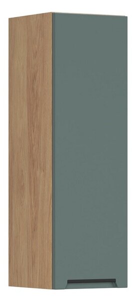 BRW Kuchyně Family Line Iris G-30/95-P, boho green matt
