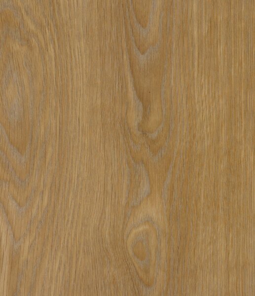 IVC Commercial, PVC podlaha - lino Logitex Ultimate 55 Elias T44, na míru, šíře 2m,4m, hnědá, filc, chodba / předsíň