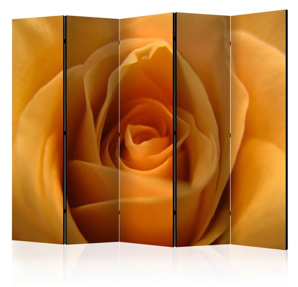 Artgeist Paraván - Yellow rose – a symbol of friendship II [Room Dividers] Size: 225x172