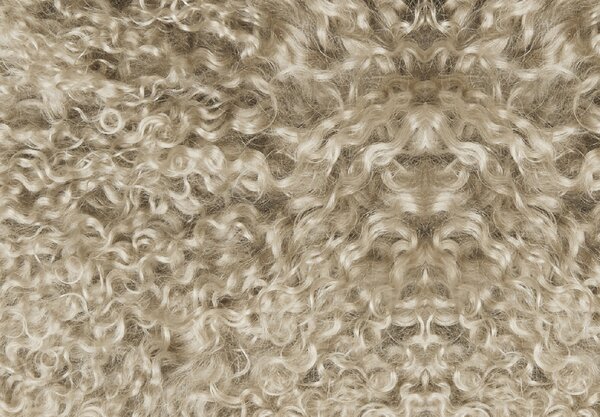 Skinnwille Home Collection Tibetská kožešina Taupe, 95x55 cm