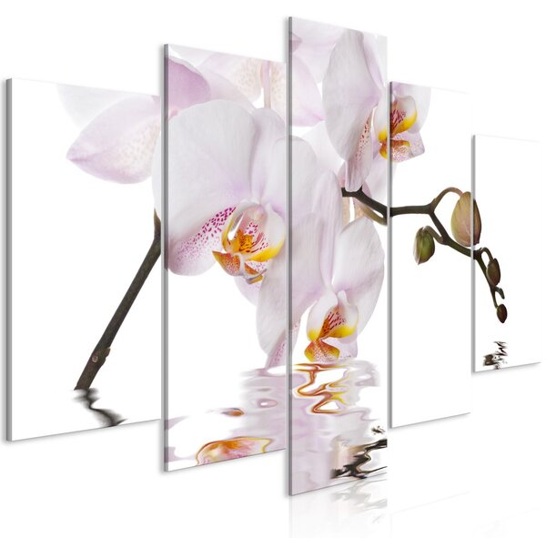 Obraz - Rozkošná orchidej 100x50