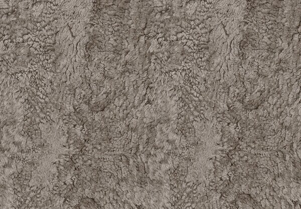 Skinnwille Home Collection Kudrnatá australská kožešina Curly, světle hnědá, 95x60 cm