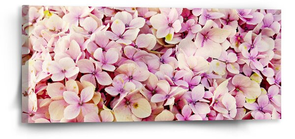 Sablio Obraz Růžové květy - 110x50 cm