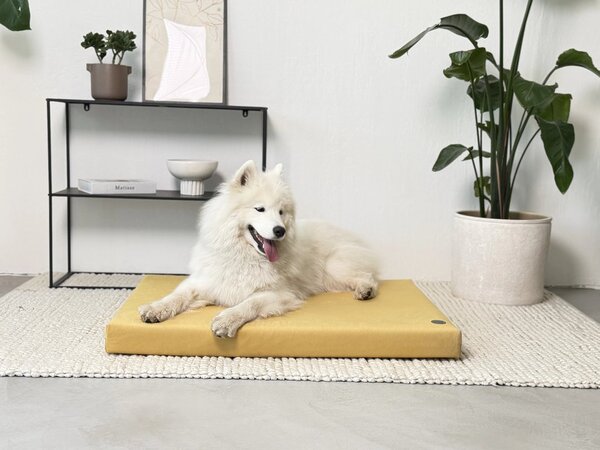 Bambol Ortopedická matrace pro psy OrthoComfort Bambol, žlutá Velikost: XL - 95 x 70 x 8cm