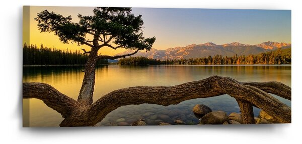 Sablio Obraz Strom u jezera - 110x50 cm