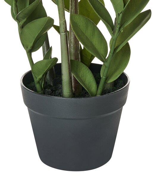 Umělá rostlina ZAMIIFOLIA 76 cm Zelená