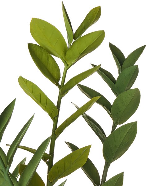 Umělá rostlina ZAMIIFOLIA 76 cm Zelená
