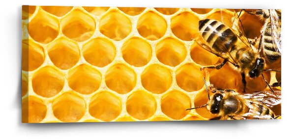 Sablio Obraz Včely - 110x50 cm