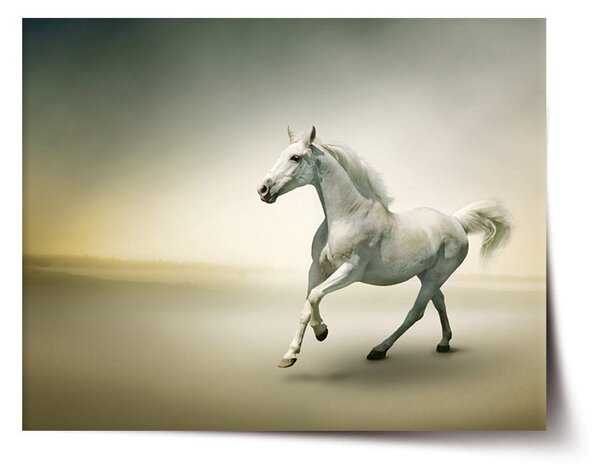 Plakát SABLIO - Bílý kůň 2 60x40 cm