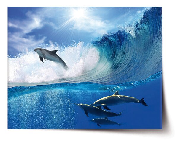 Plakát SABLIO - Delfíni ve vlnách 60x40 cm