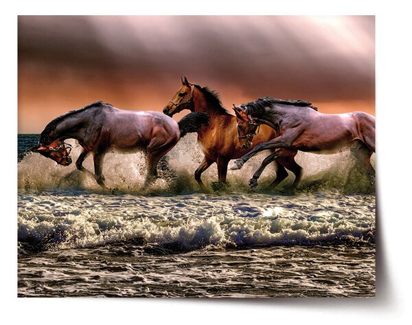 Plakát SABLIO - Koně ve vodě 60x40 cm