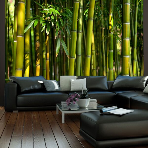 Fototapeta - Asijský bambusový les 250x193 + zdarma lepidlo