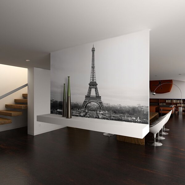 Fototapeta - Paříž: černobílé fotografie 250x193 + zdarma lepidlo