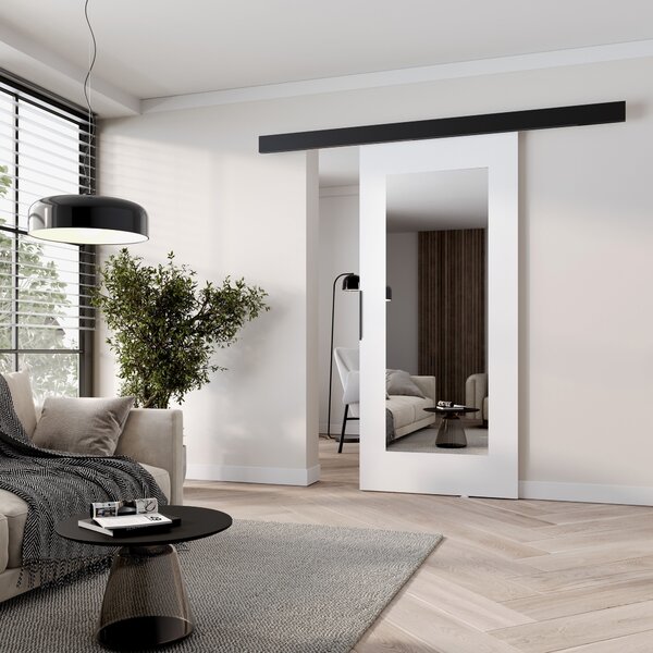 Posuvné dveře se zrcadlem BARRET 19 - 106 cm, bílé / černé