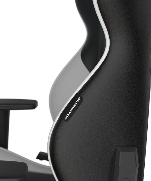 Herní židle DXRacer GLADIATOR GC/LGN23LTC/NW