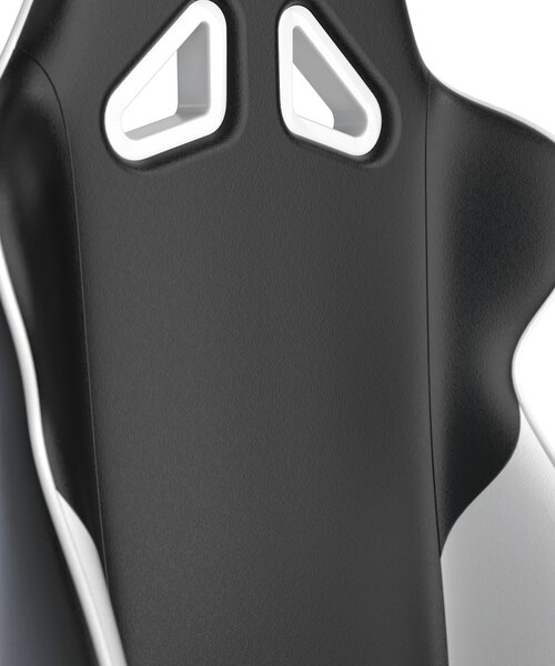 Herní židle DXRacer GLADIATOR GC/LGN23LTC/NW
