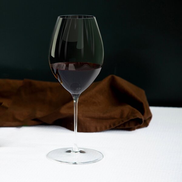Sklenice Riedel Performance Shiraz a Syrah 2 ks 6884-41