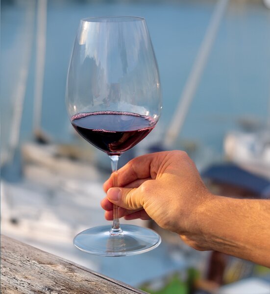 Sklenice Riedel Performance Shiraz a Syrah 2 ks 6884-41