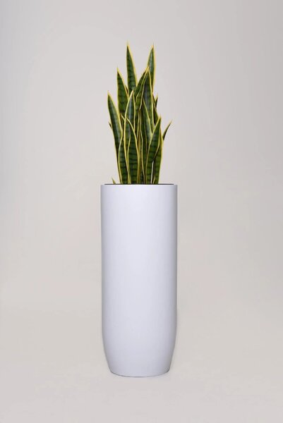 Květináč SOLERIO, výška 80 cm, sklolaminát, bílá