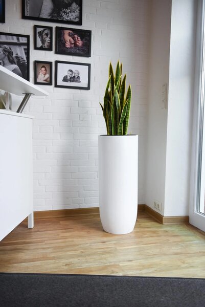 Květináč SOLERIO, výška 80 cm, sklolaminát, bílá