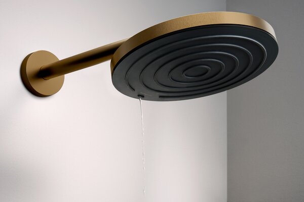 Hansgrohe Pulsify S Horní sprcha 260 1jet, kartáčovaný bronz 24140140