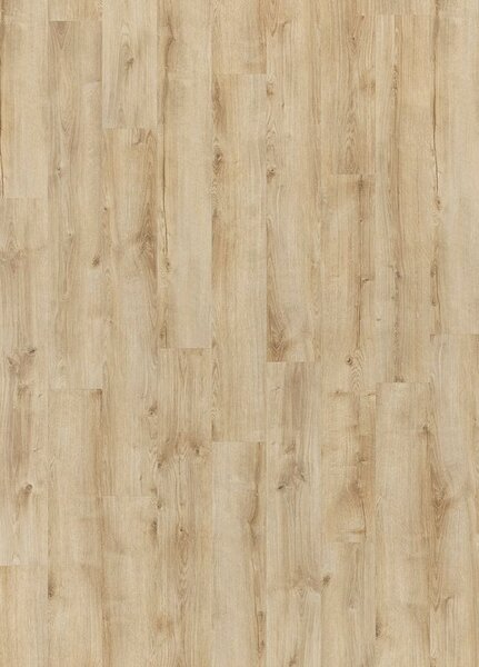 Breno Vinylová podlaha MODULEO ROOTS 55 EIR Galway Oak 87372 – světlé dřevo