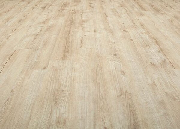 Breno Vinylová podlaha MODULEO ROOTS 55 EIR Galway Oak 87269 – světlé dřevo