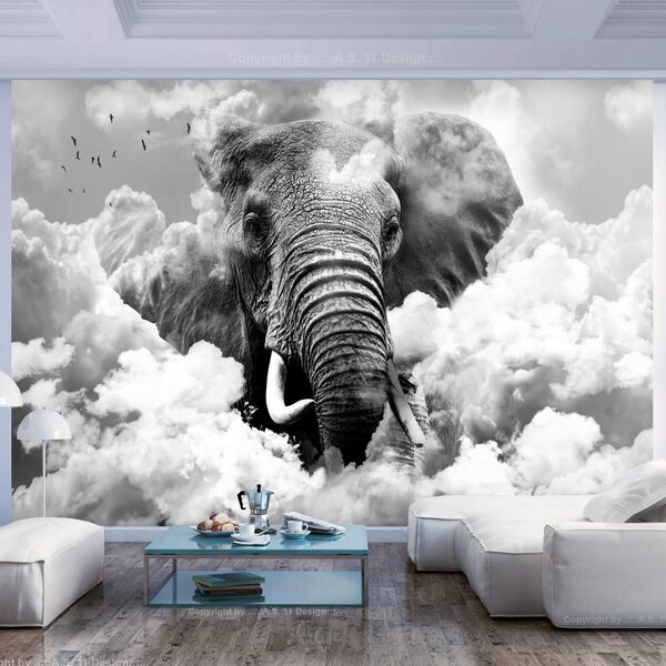Fototapeta - Slon v oblacích (černobílý) 250x175 + zdarma lepidlo