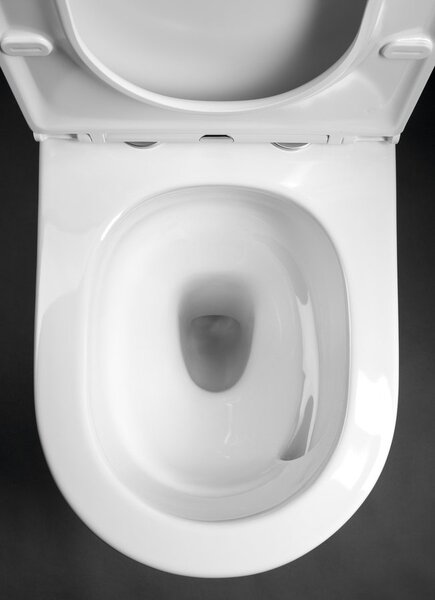 Sapho Sapho, DARIO RIMLESS WC kombi mísa s nádržkou, spodní/zadní odpad, bílá, PC106V