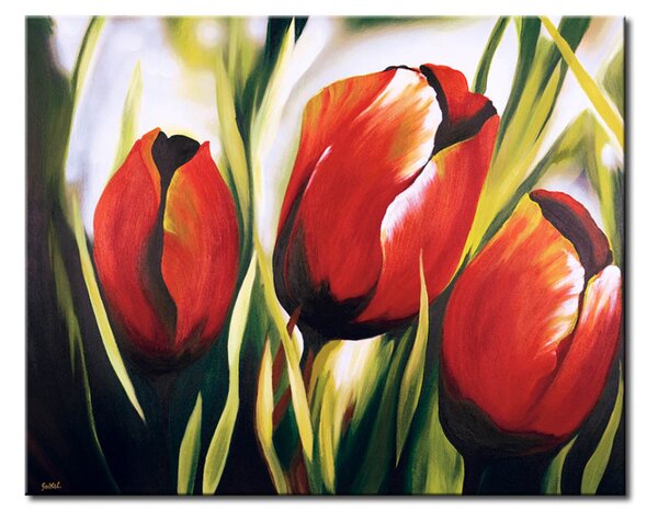 Obraz Království tulipánů