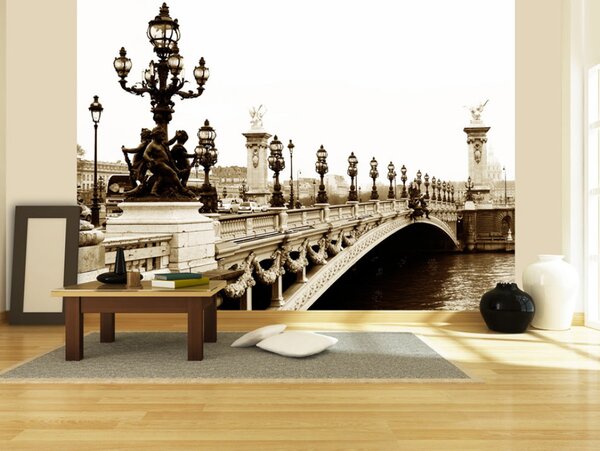Fototapeta Městská architektura Paříže - slavný most Alexandra III v sepii