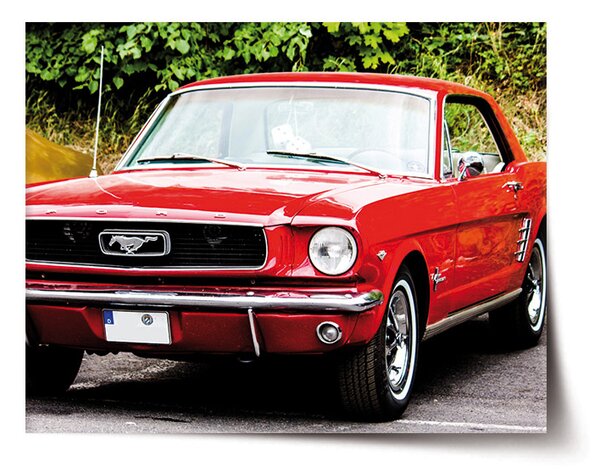 Plakát SABLIO - Mustang 60x40 cm