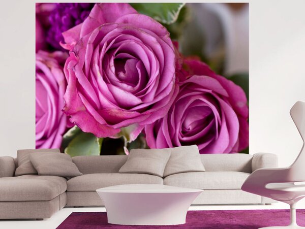 Fototapeta Růže v odstínech fialové - makro záběr květů s rozmazaným pozadím