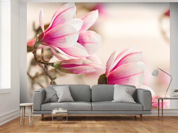 Fototapeta Květy magnolie - přírodní květinový motiv na světlém a jemném pozadí