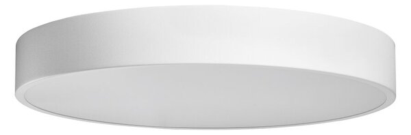 Palnas Stropní LED svítidlo FANY ø 40 cm Barva: Černá, Teplota světla: 3000K - teplá bílá, Stmívání, řízení: ON/OFF (bez stmívání)