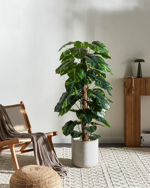 Umělá rostlina DIEFFENBACHIA 152 cm Zelená