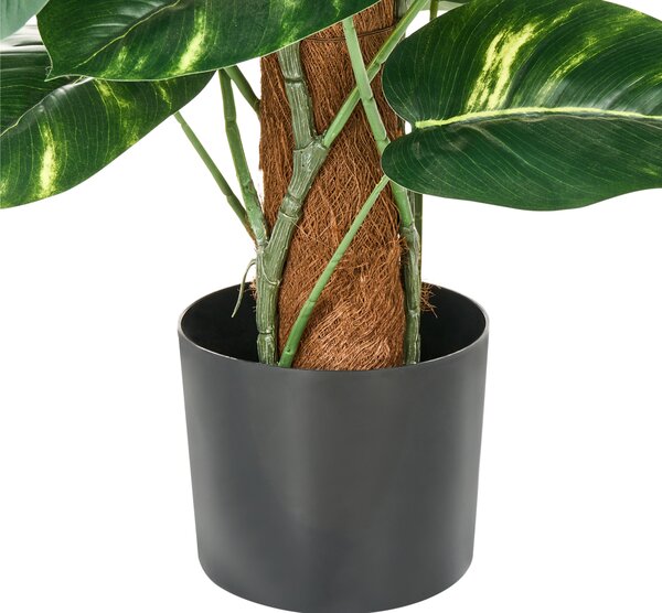 Umělá rostlina DIEFFENBACHIA 152 cm Zelená