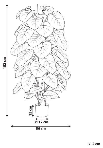 Umělá rostlina DIEFFENBACHIA 152 cm Zelená