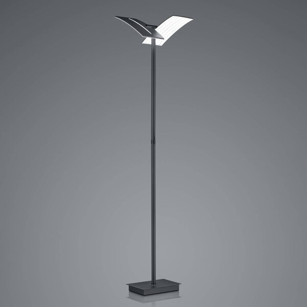LED stojací lampa Dual CCT, stmívatelná, černá