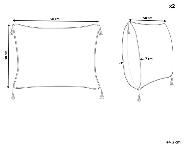 Sada 2 dekorativních polštářů SCHEFFLERA Umělý samet 30 x 50 cm Bílá Geometrický vzor