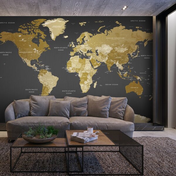 Samolepící fototapeta - Mapa světa: Moderní geografie 98x70